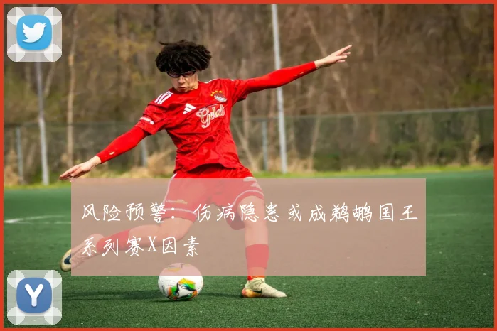 风险预警：伤病隐患或成鹈鹕国王系列赛X因素