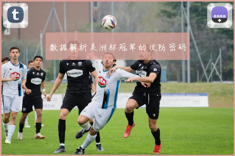 数据解析美洲杯冠军的攻防密码