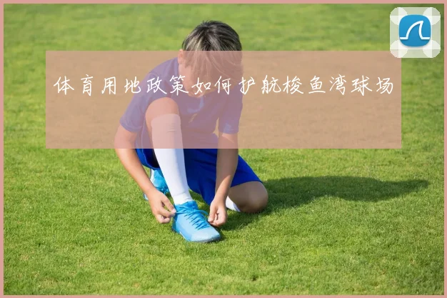 体育用地政策如何护航梭鱼湾球场