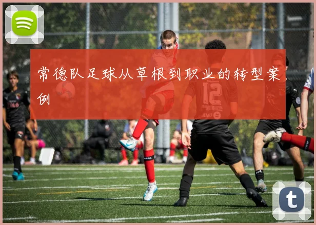 常德队足球从草根到职业的转型案例